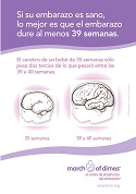 Late Preterm Brain Development Card (Spanish)